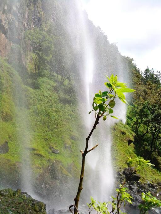Maverick Camp, Rondavels And Homestay Nyandarua Exterior foto